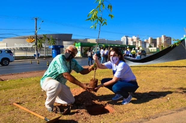 Prefeitura planta mudas de árvores frutíferas para homenagear mulheres mortas pelos companheiros