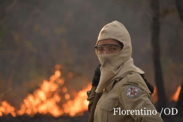 Veja fotos do incêndio que tomou parte da vegetação ao lado do aeroporto